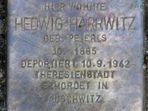 Stolperstein für Hedwig Harrwitz.